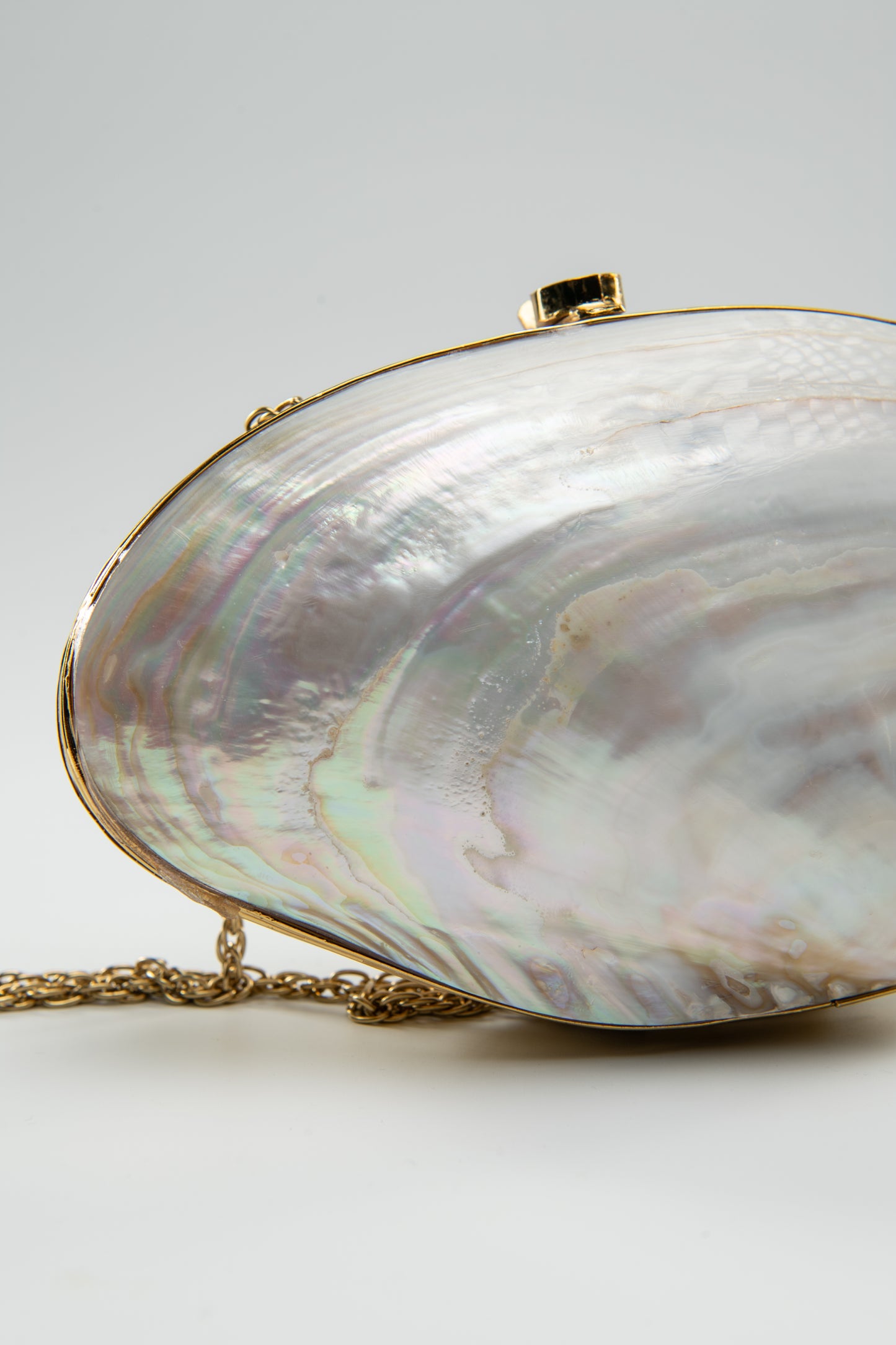 Clutch Mother of Shell